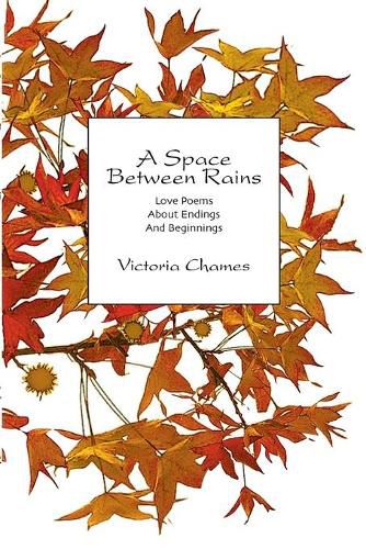 Cover image for A Space Between Rains