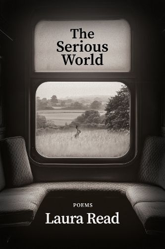 Cover image for The Serious World