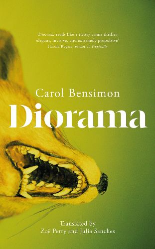 Cover image for Diorama