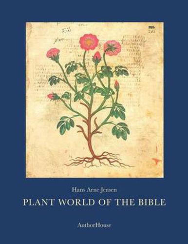 Cover image for Plant World of the Bible