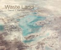 Cover image for David T. Hanson - Waste Land