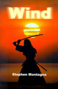 Cover image for Wind