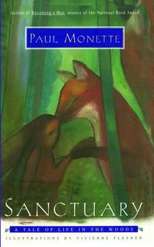 Cover image for Sanctuary: A Tale of Life in the Woods