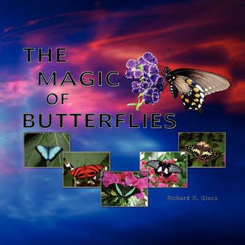 Cover image for The Magic of Butterflies