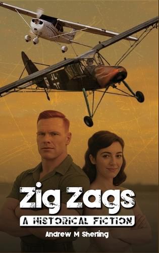 Cover image for Zig Zags