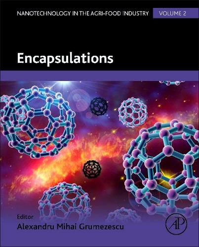 Cover image for Encapsulations