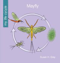 Cover image for Mayfly