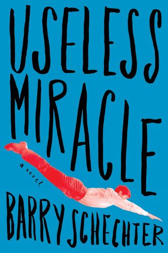 Cover image for Useless Miracle