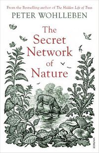 Cover image for The Secret Network of Nature: The Delicate Balance of All Living Things