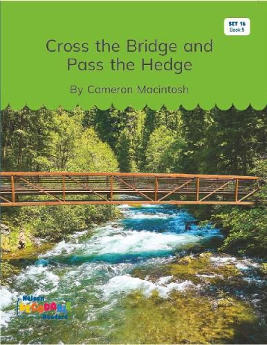 Cover image for Cross the Bridge and Pass the Hedge (Set 16, Book 5)