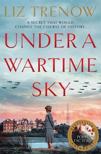 Cover image for Under a Wartime Sky