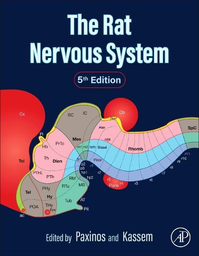 Cover image for The Rat Nervous System