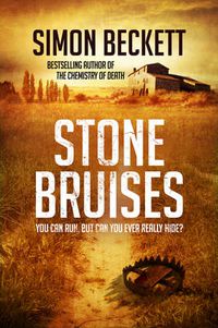 Cover image for Stone Bruises
