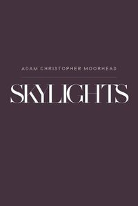 Cover image for Skylights