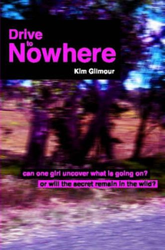 Cover image for Drive To Nowhere