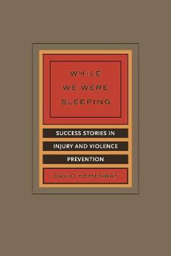 Cover image for While We Were Sleeping: Success Stories in Injury and Violence Prevention