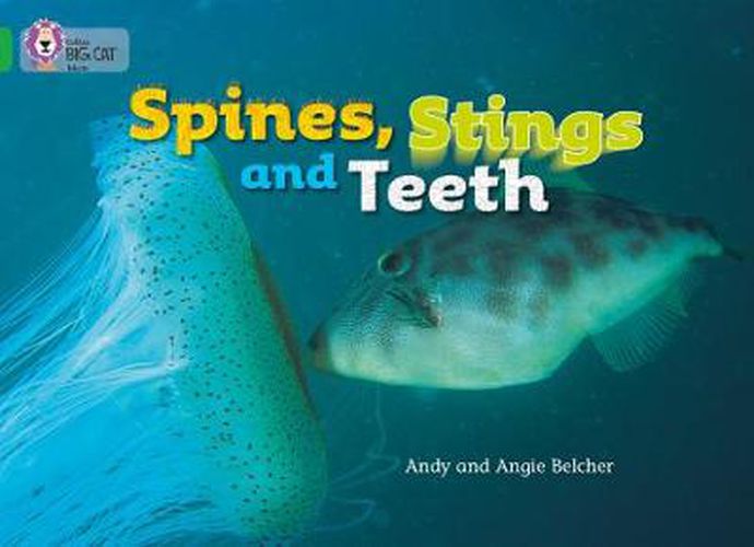 Cover image for Spines, Stings and Teeth: Band 05/Green