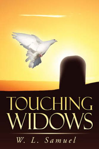 Cover image for Touching Widows
