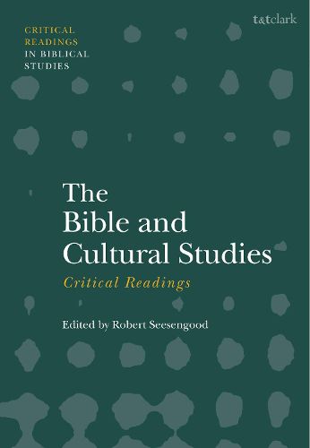 Cover image for The Bible and Cultural Studies: Critical Readings