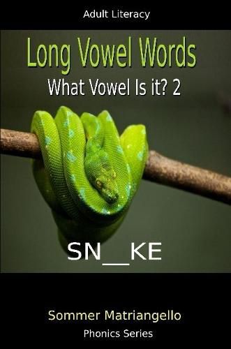 Long Vowel Words: What Vowel Is It? 2