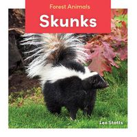 Cover image for Skunks