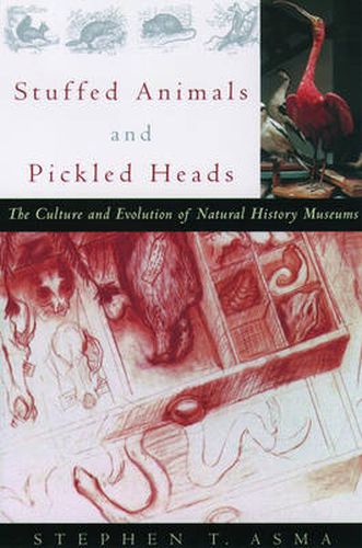 Cover image for Stuffed Animals and Pickled Heads: The Culture of Natural History Museums