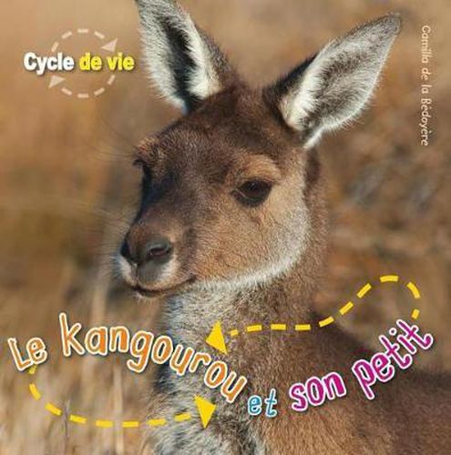 Cycle de Vie: Le Kangourou Et Son Petit