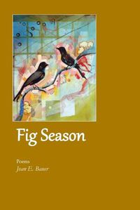 Cover image for Fig Season