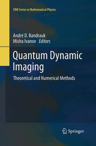 Cover image for Quantum Dynamic Imaging: Theoretical and Numerical Methods