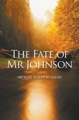 Cover image for The Fate of Mr Johnson