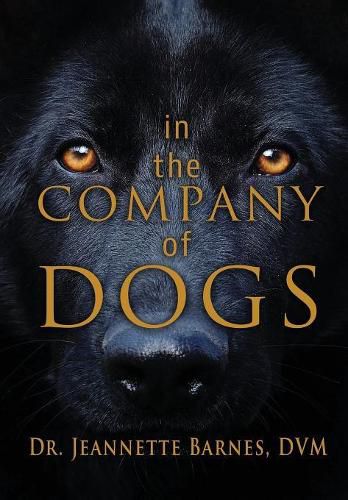 Cover image for In the Company of Dogs