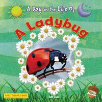 Cover image for A Ladybug