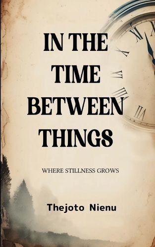 Cover image for In the Time Between Things (Edition1st)