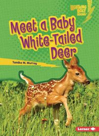 Cover image for Meet a Baby White-Tailed Deer