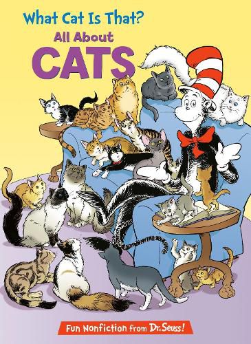 Cover image for What Cat Is That? All About Cats