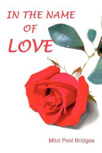 Cover image for In the Name of Love