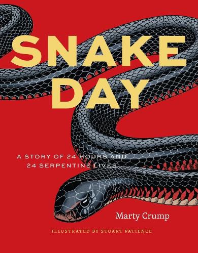 Cover image for Snake Day