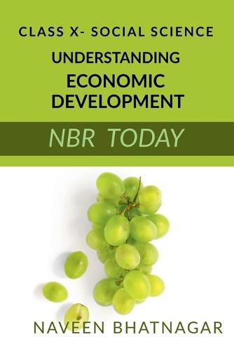 Cover image for Class X Understanding Economic Development