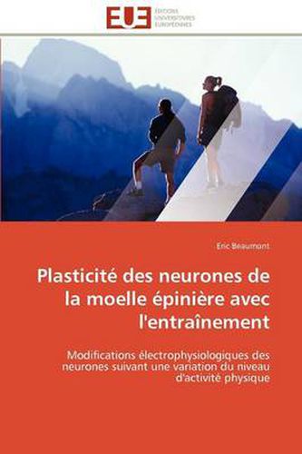 Cover image for Plasticit Des Neurones de La Moelle Pini Re Avec L'Entra Nement