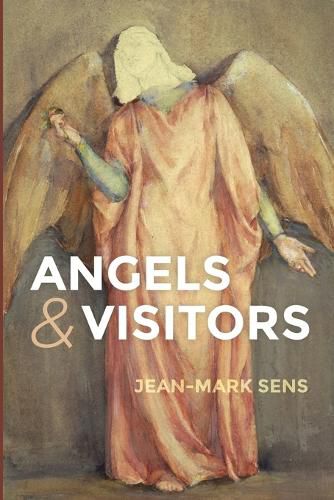 Cover image for Angels and Visitors