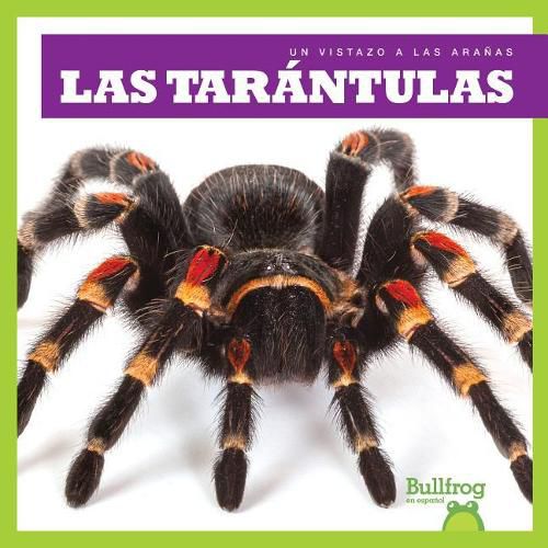 Cover image for Las Tarantulas (Tarantulas)