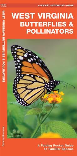 West Virginia Butterflies & Pollinators: A Folding Pocket Guide to Familiar Species