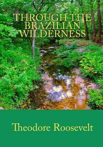 Cover image for Through the Brazilian Wilderness