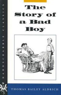 Cover image for The Story of a Bad Boy