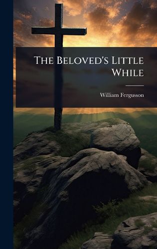 Cover image for The Beloved's Little While