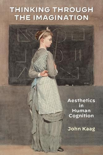 Thinking Through the Imagination: Aesthetics in Human Cognition