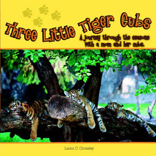 Cover image for Three Little Tiger Cubs: A Journey Through the Seasons with a Mom and Her Cubs