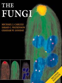 Cover image for The Fungi