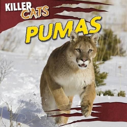 Cover image for Pumas