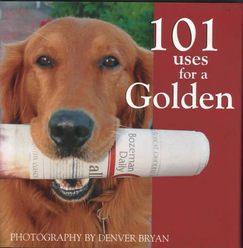 Cover image for 101 Uses for a Golden Retriever